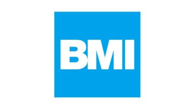 BMI group